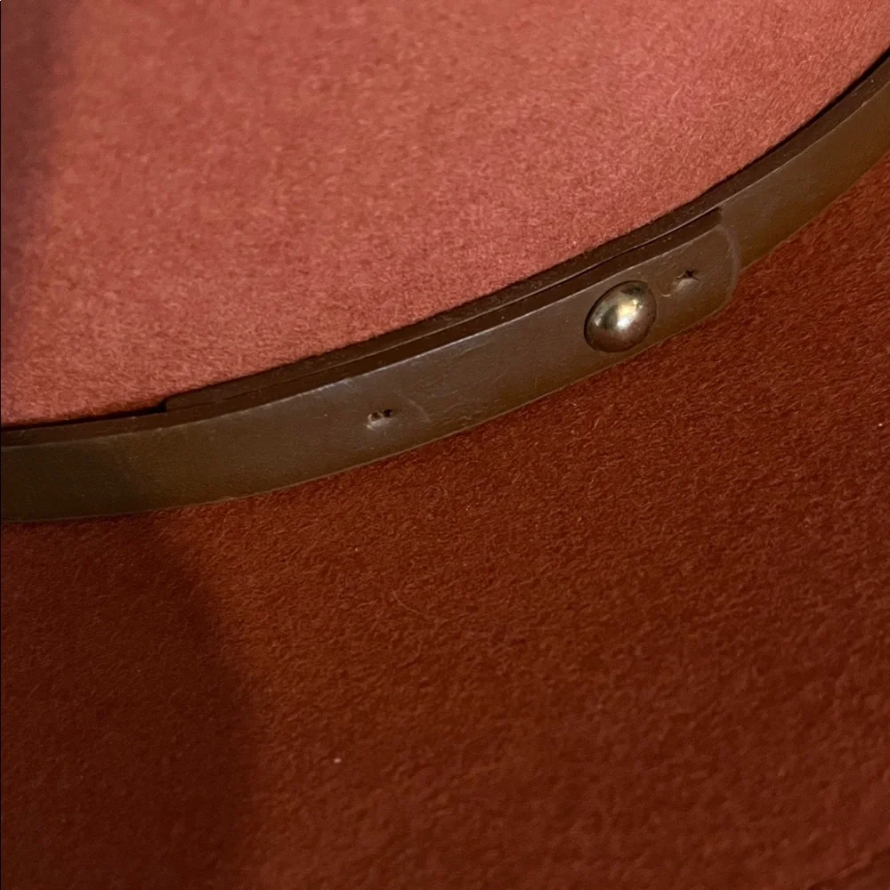 Altar'd State Terracotta Wide-Brim Fedora Hat. 100% Wool Minimalist Quite Luxury